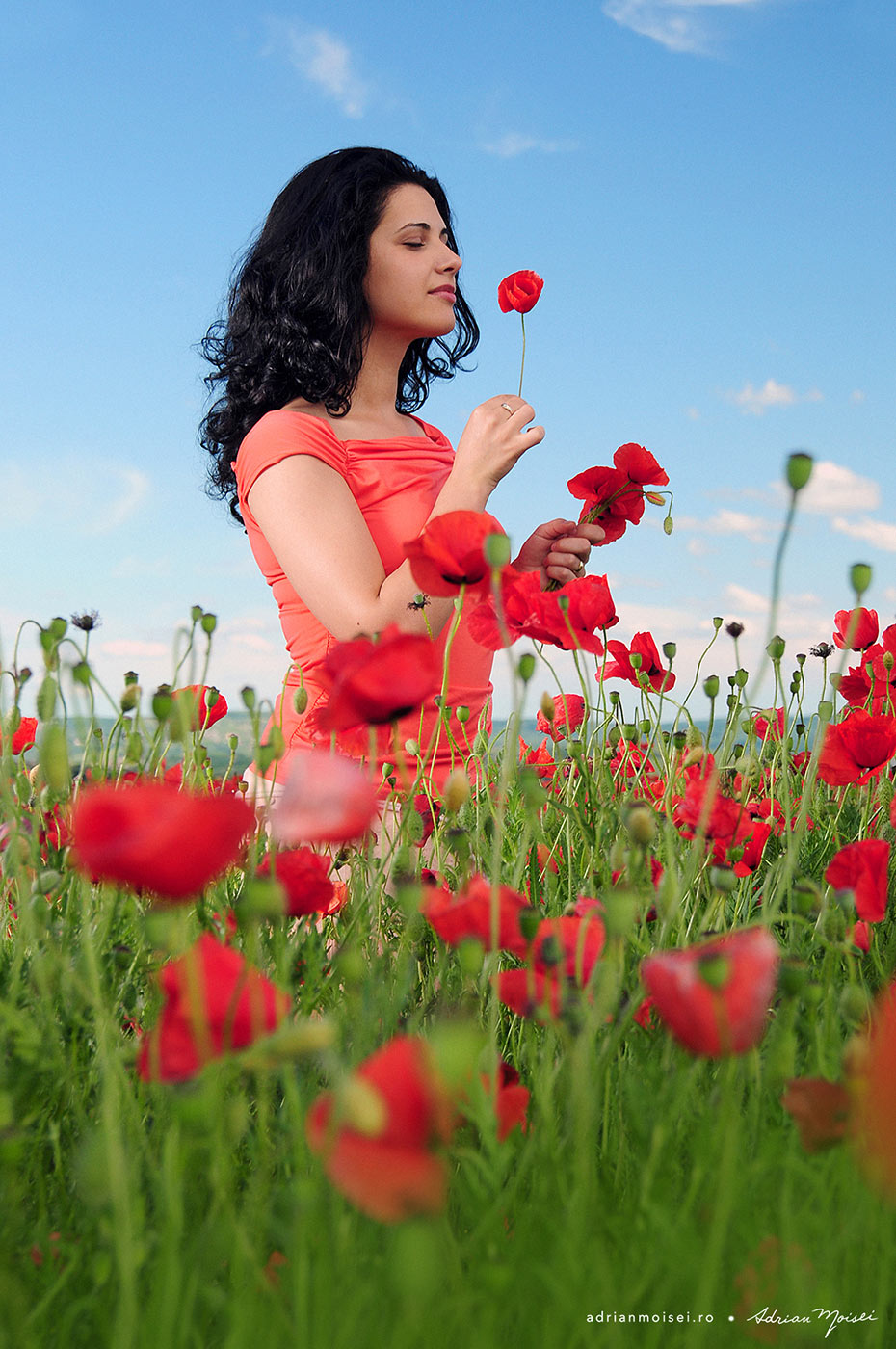 Fotograf portret cu o fermecatoare fata in lanul de maci, fotograf Iasi Adrian Moisei