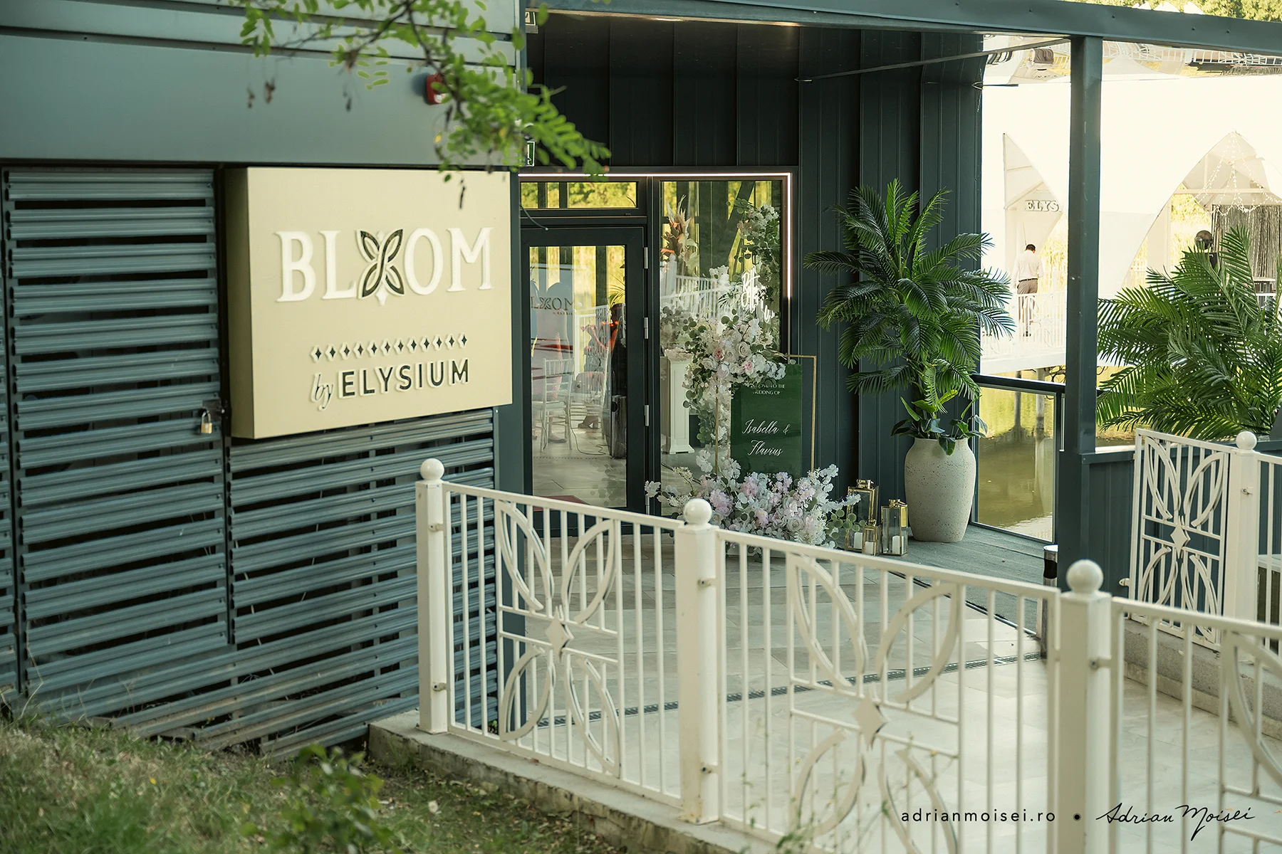 Fotograf profesionist Iași surprinde dansul mirilor la Bloom Elysium